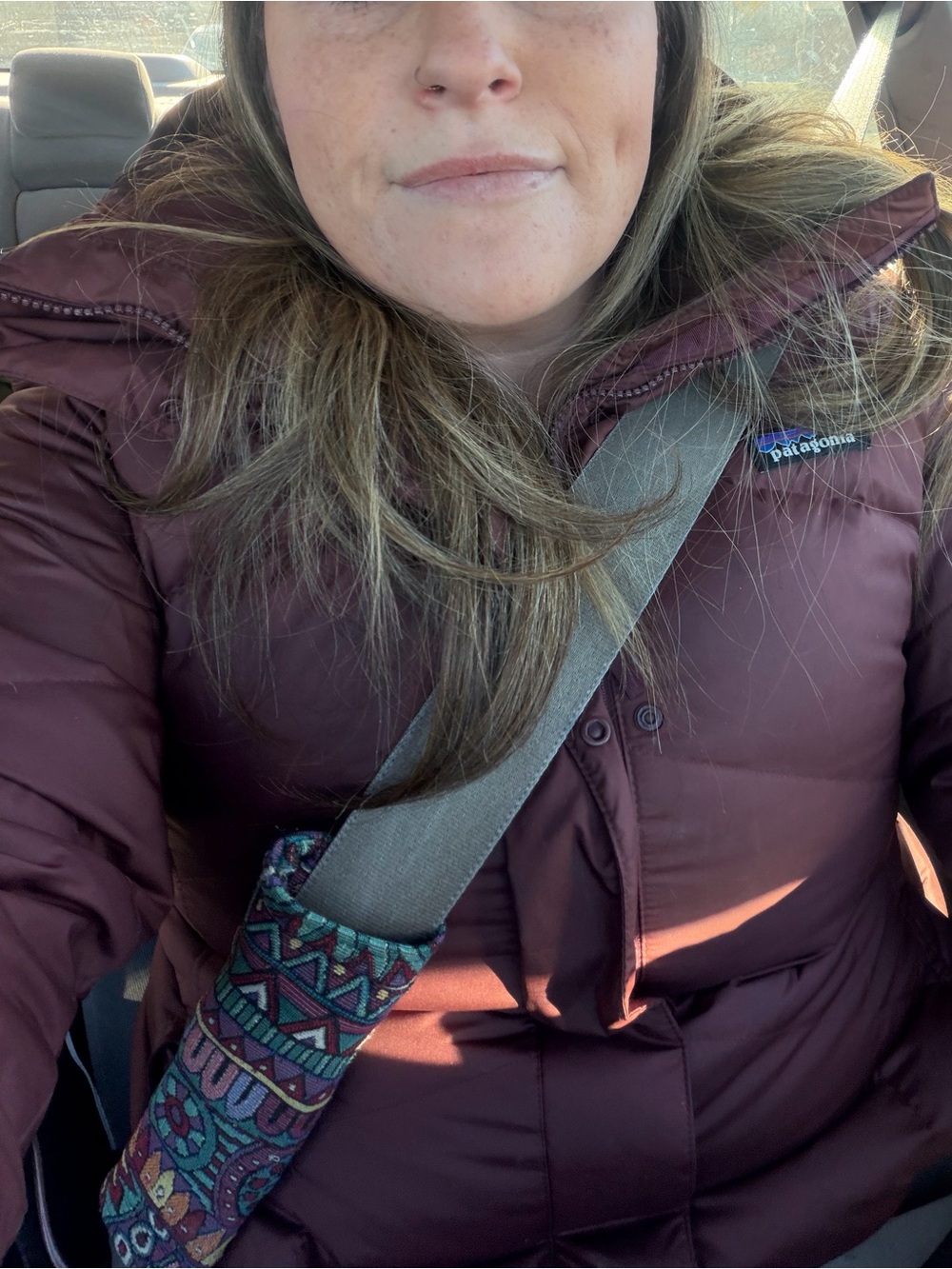Patagonia Jacket Down With It Jacket (with hood) size Large - Picture 2 of 3